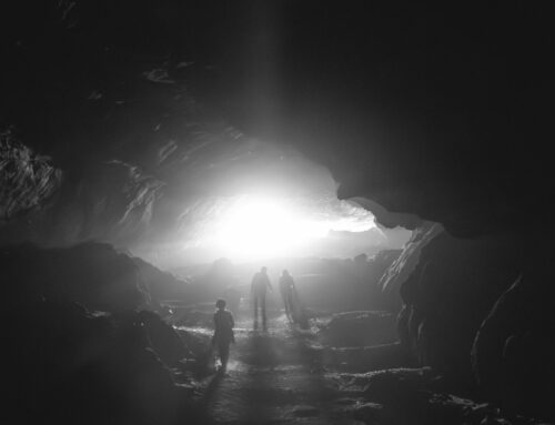 Metadata, Digital Mimesis, and Plato’s Allegory of the Cave